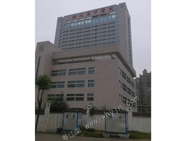 湖北光谷中醫(yī)院項目